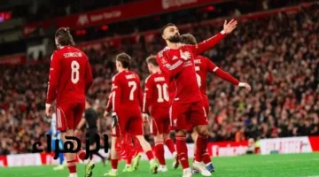 موعد مباراة ليفربول وبرايتون في الدوري الإنجليزي وسط أنباء غياب محمد صلاح